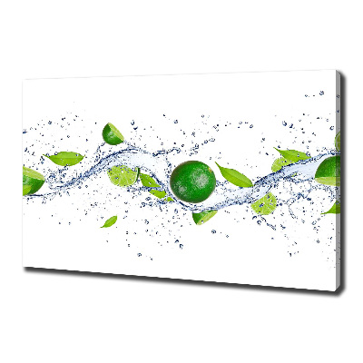 Canvas wall art Lime and water