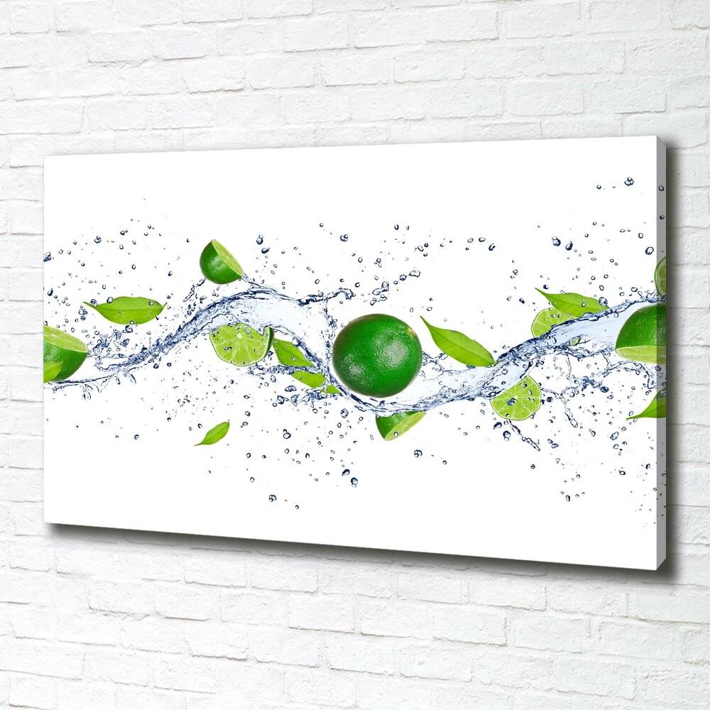 Canvas wall art Lime and water