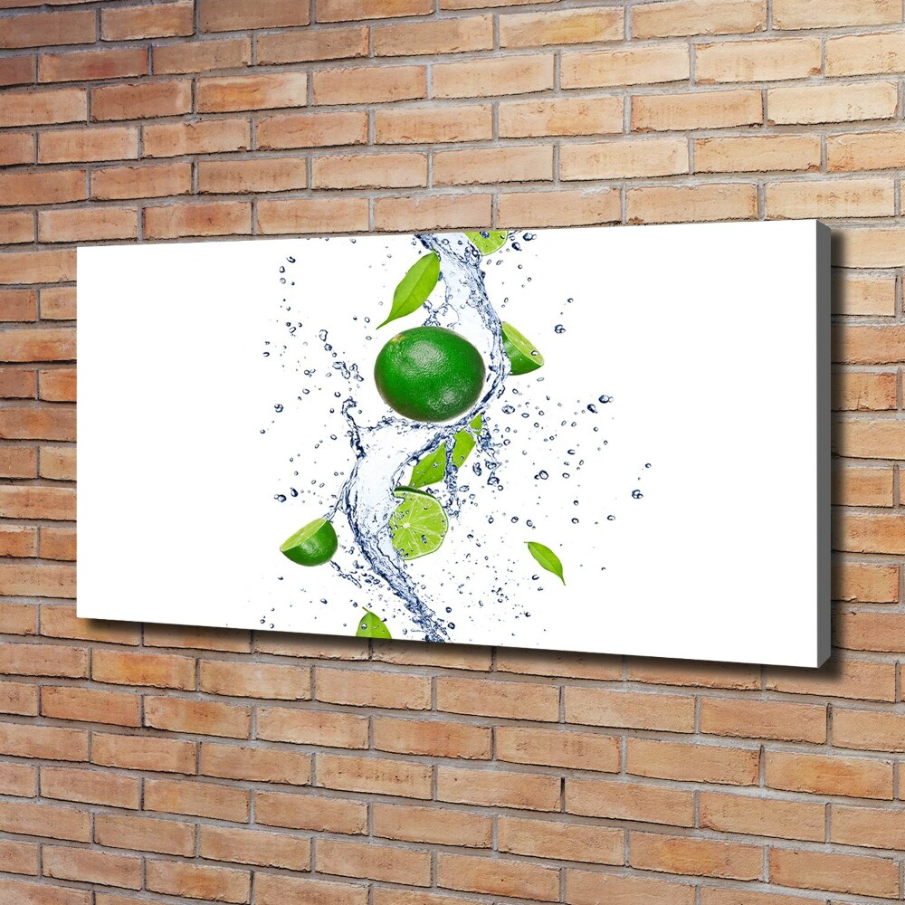 Canvas wall art Lime and water