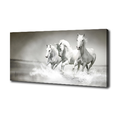 Large canvas wall art White horses