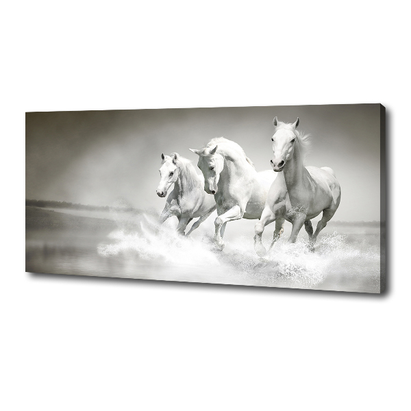 Large canvas wall art White horses