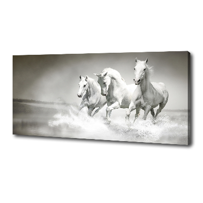 Large canvas wall art White horses