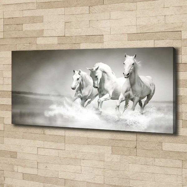 Large canvas wall art White horses