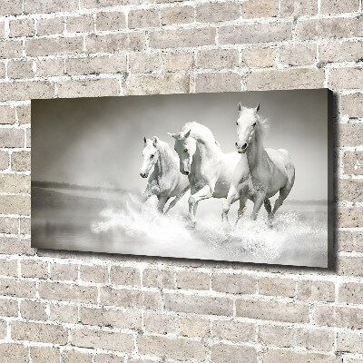 Large canvas wall art White horses