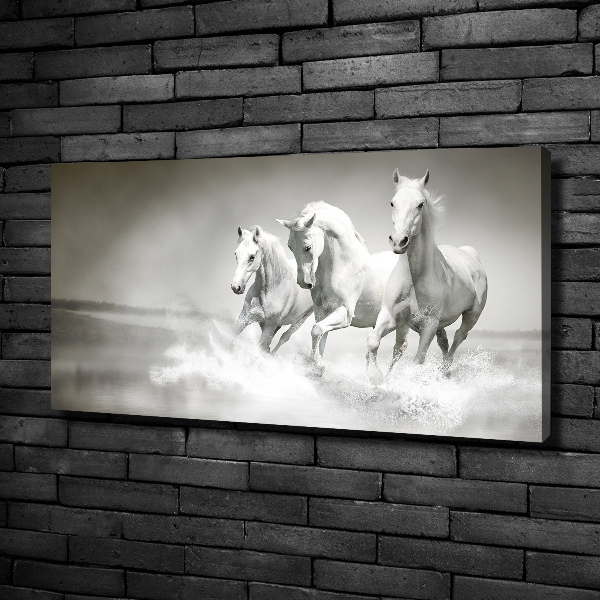 Large canvas wall art White horses