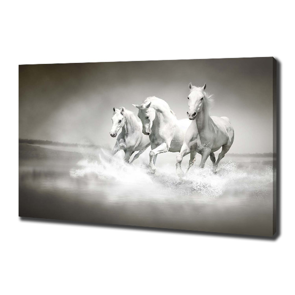 Large canvas wall art White horses