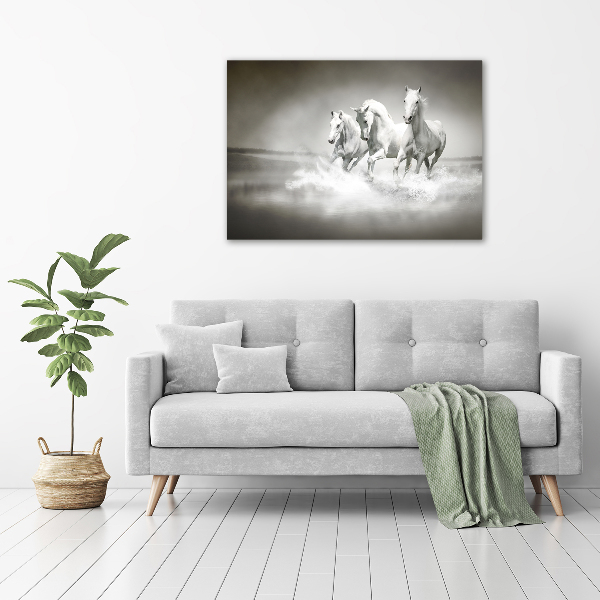 Large canvas wall art White horses