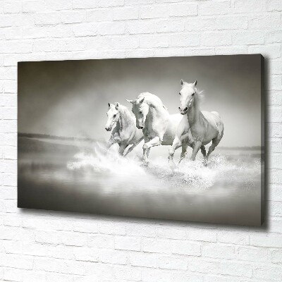 Large canvas wall art White horses