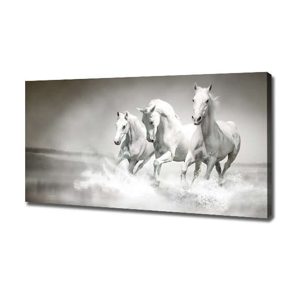 Large canvas wall art White horses