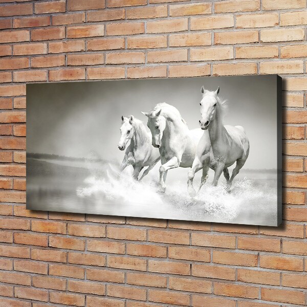 Large canvas wall art White horses