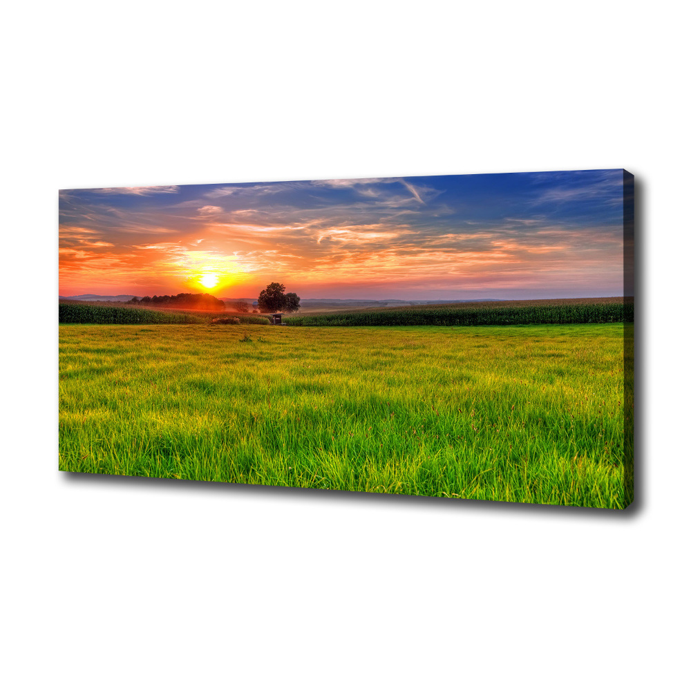 Canvas wall art Sunset meadow