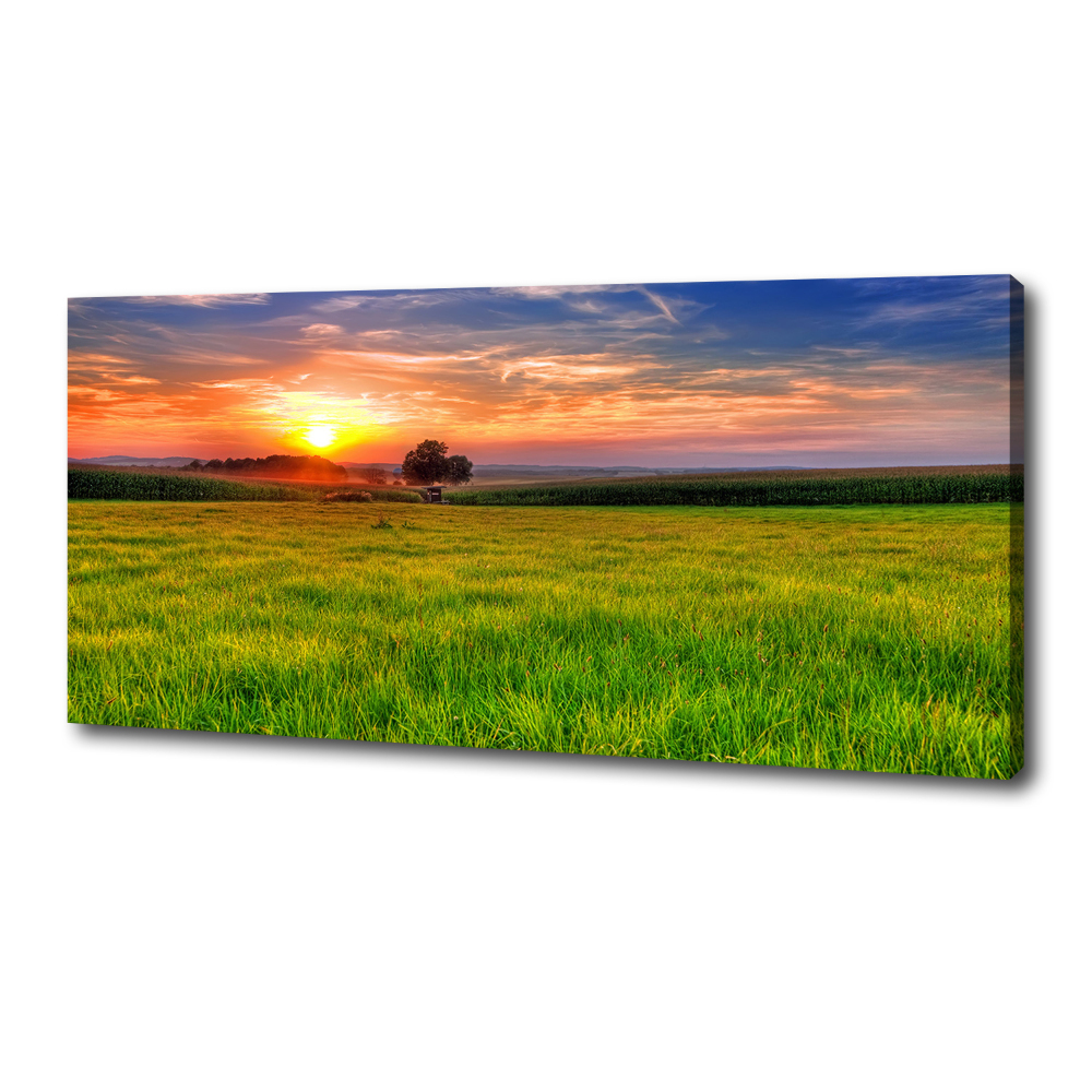 Canvas wall art Sunset meadow