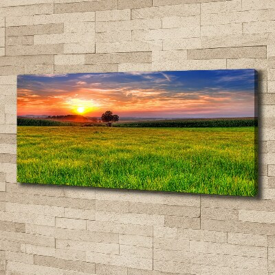 Canvas wall art Sunset meadow