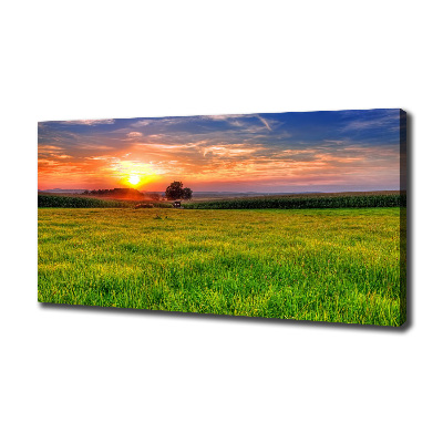 Canvas wall art Sunset meadow