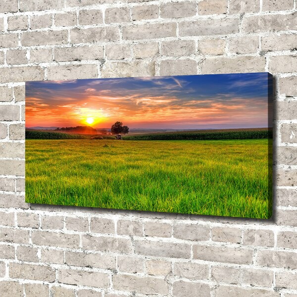 Canvas wall art Sunset meadow