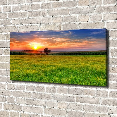 Canvas wall art Sunset meadow