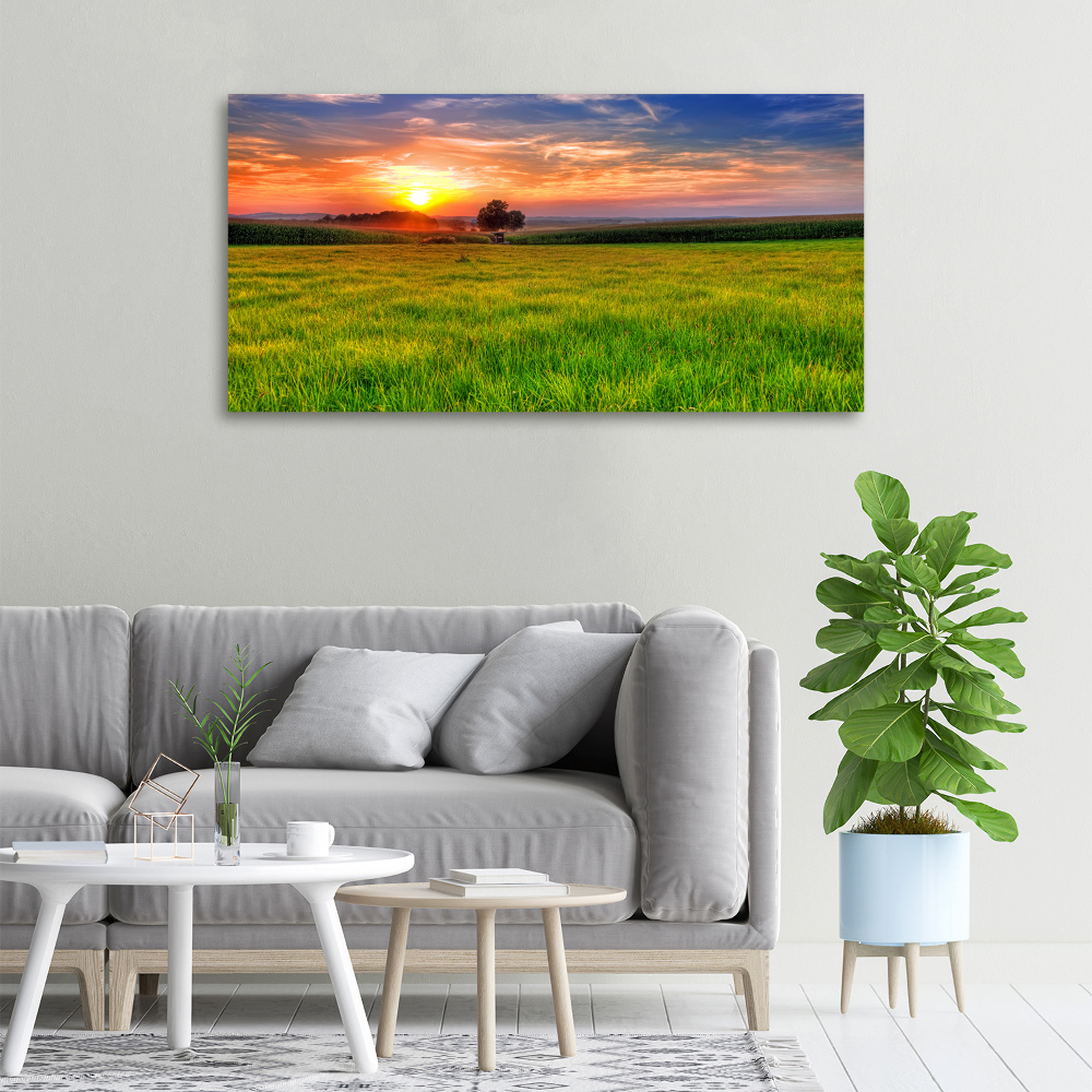 Canvas wall art Sunset meadow