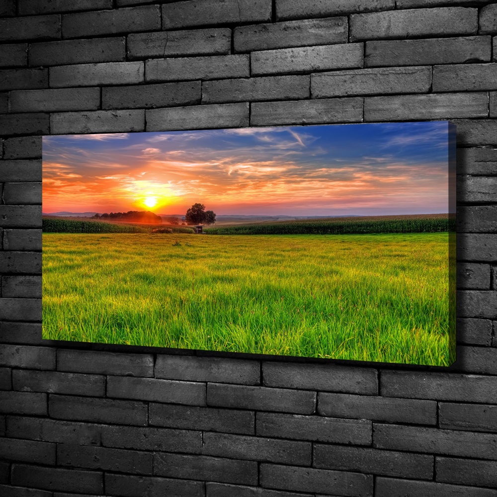 Canvas wall art Sunset meadow