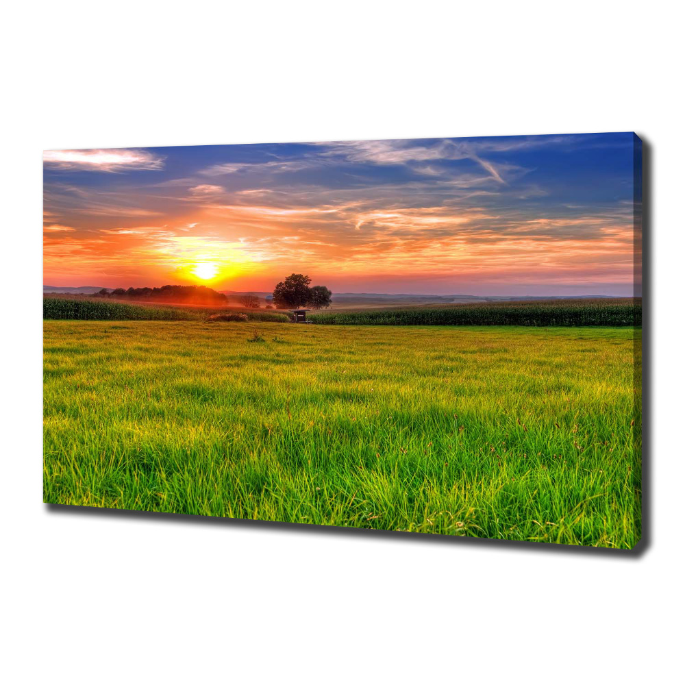 Canvas wall art Sunset meadow