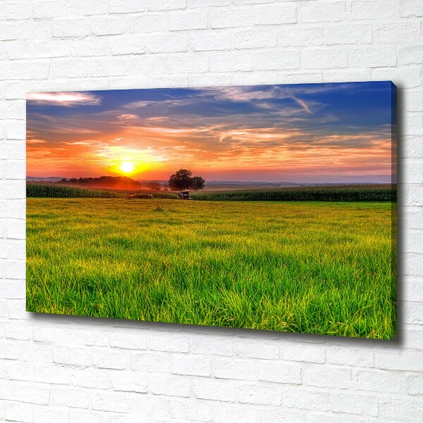 Canvas wall art Sunset meadow