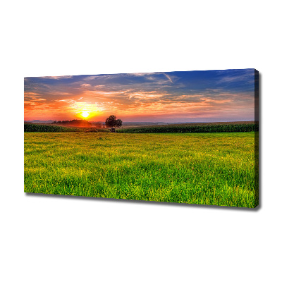 Canvas wall art Sunset meadow