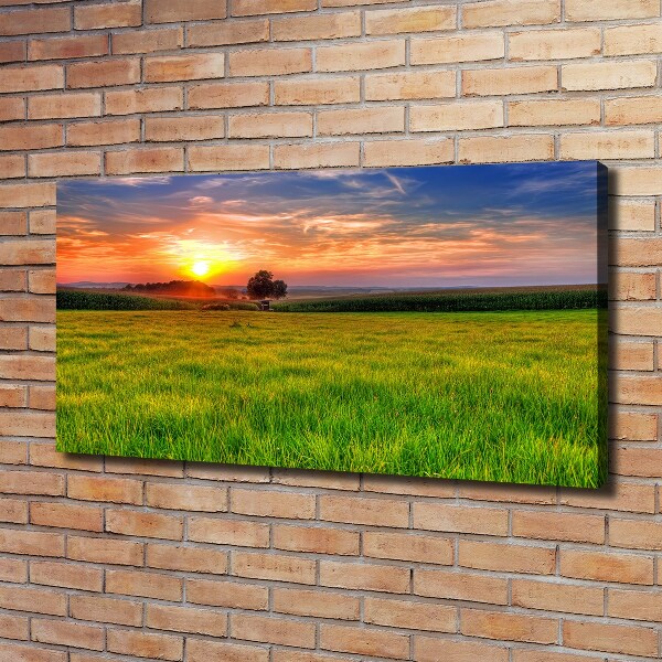 Canvas wall art Sunset meadow