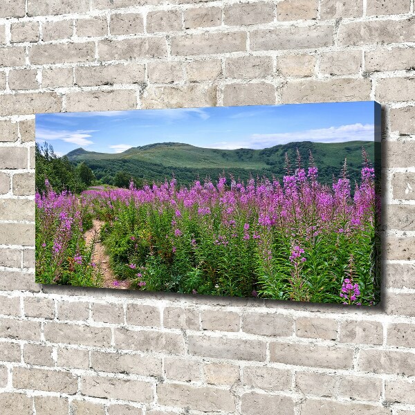 Canvas wall art Green hills