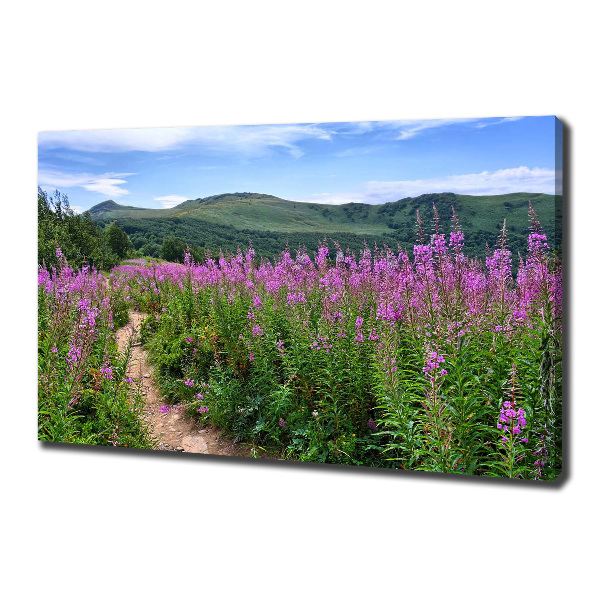 Canvas wall art Green hills