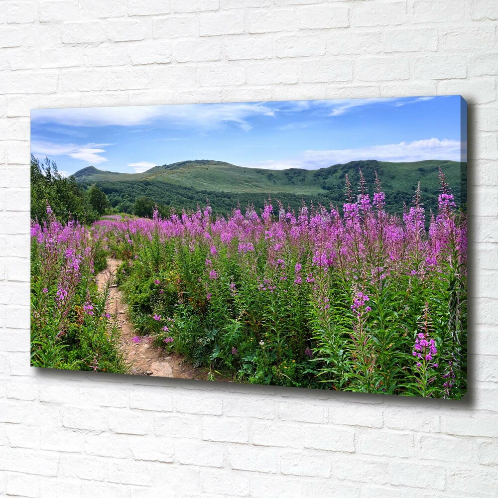 Canvas wall art Green hills