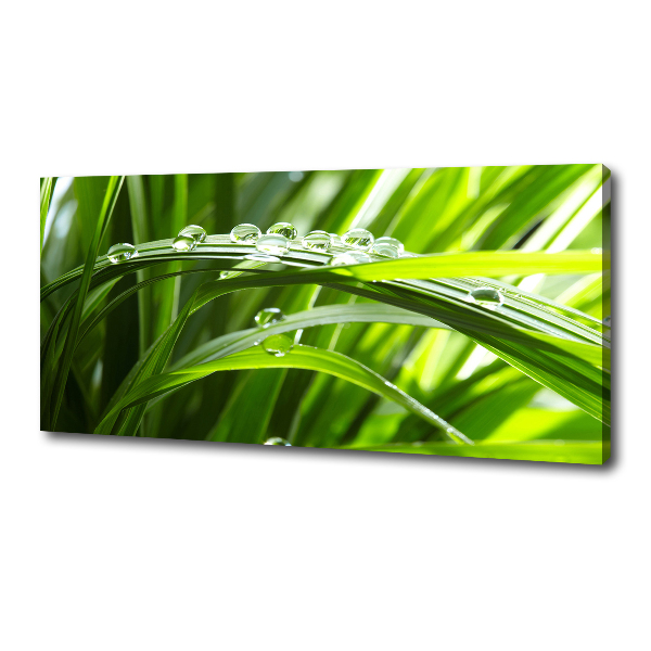 Canvas wall art Drops on the grass