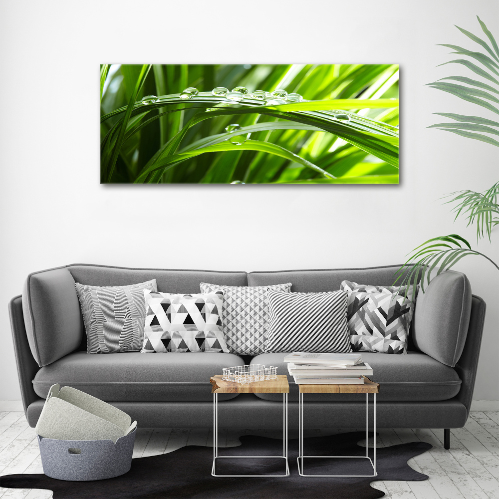 Canvas wall art Drops on the grass