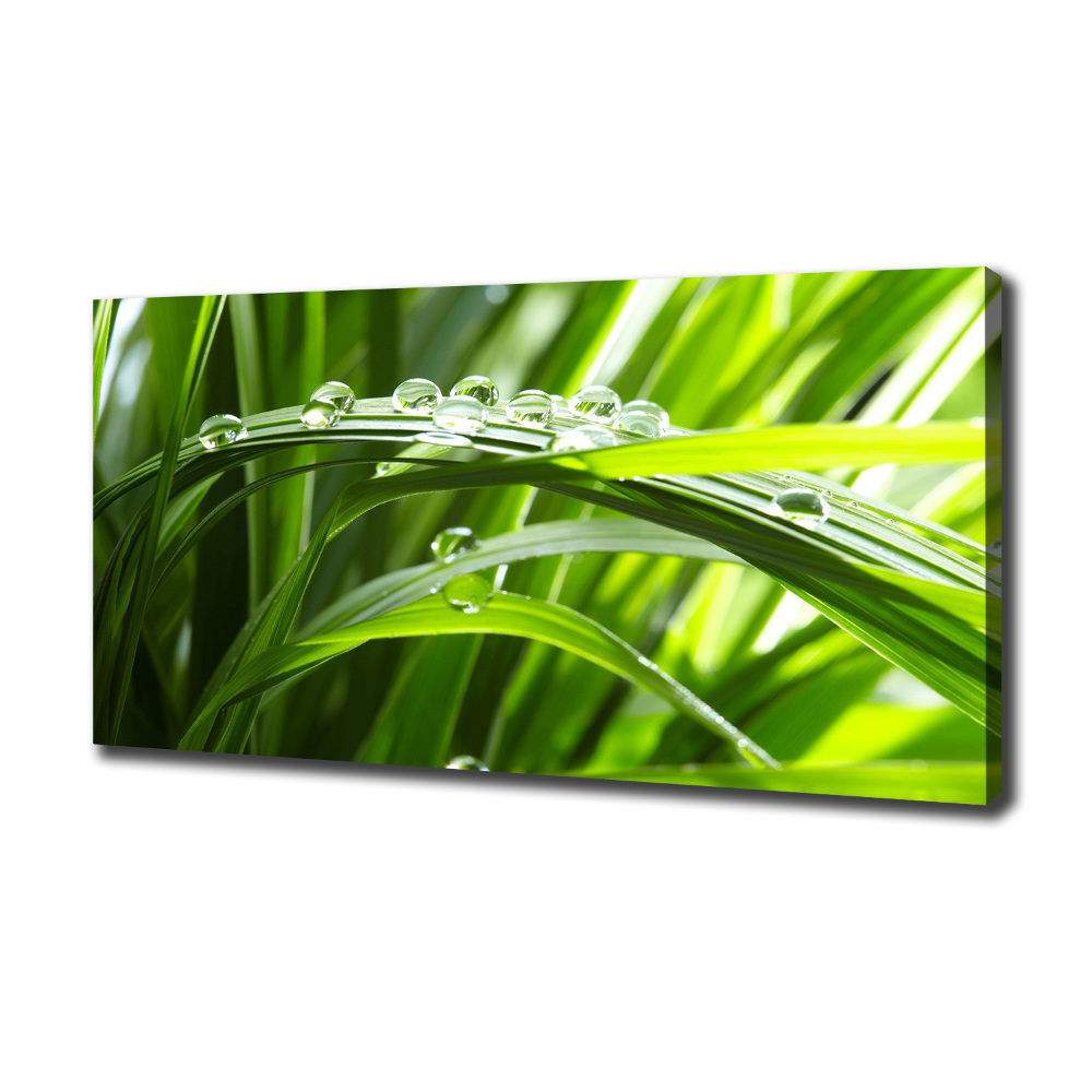 Canvas wall art Drops on the grass