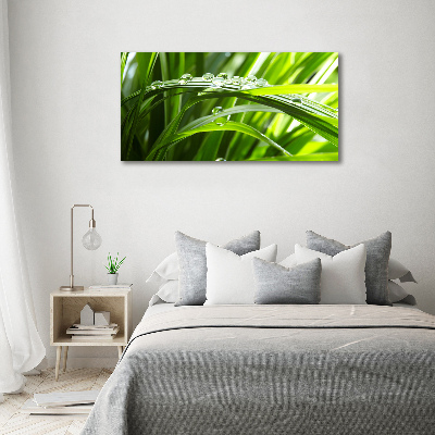 Canvas wall art Drops on the grass