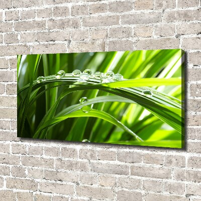 Canvas wall art Drops on the grass