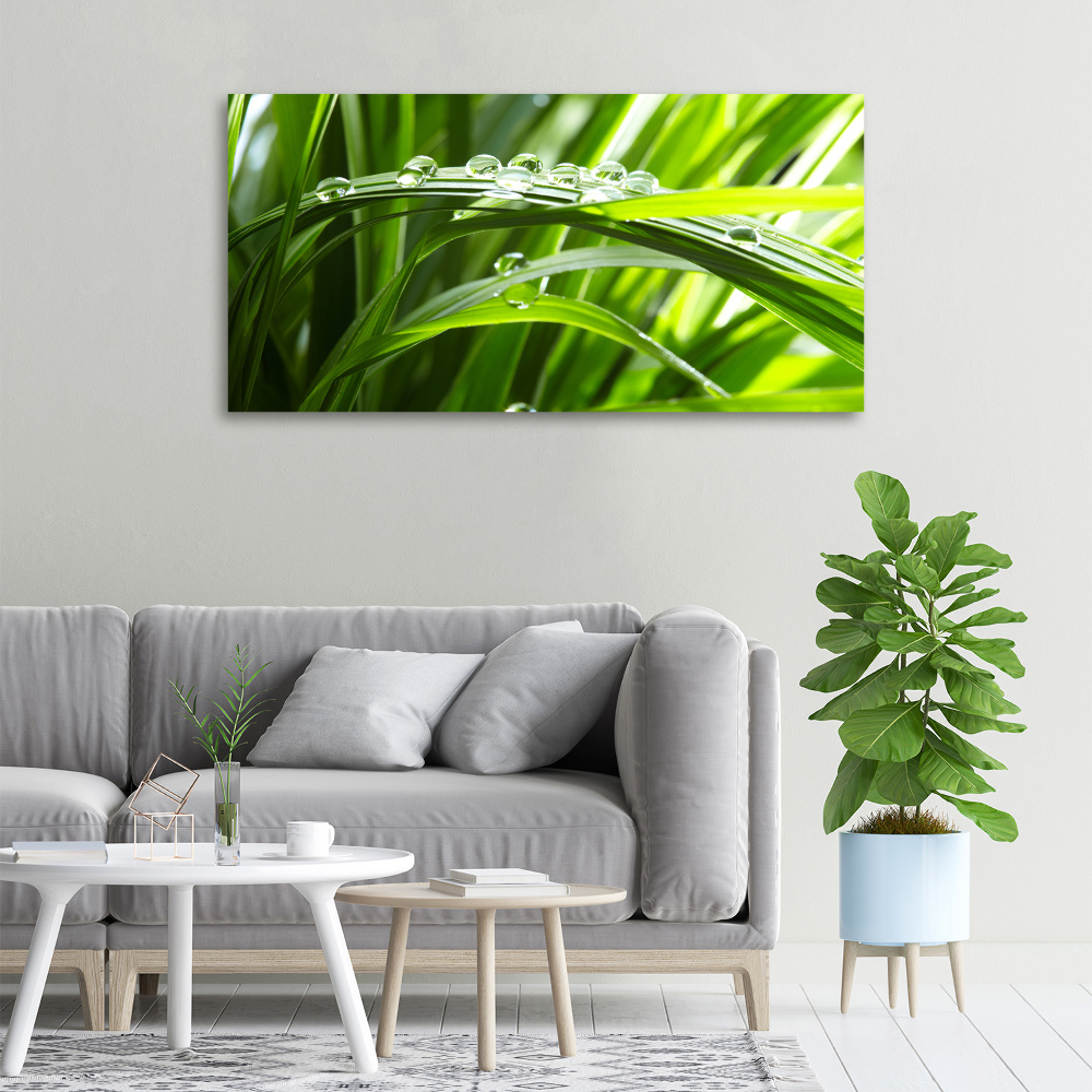 Canvas wall art Drops on the grass