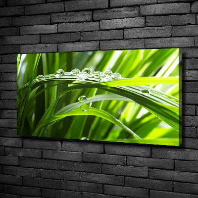 Canvas wall art Drops on the grass