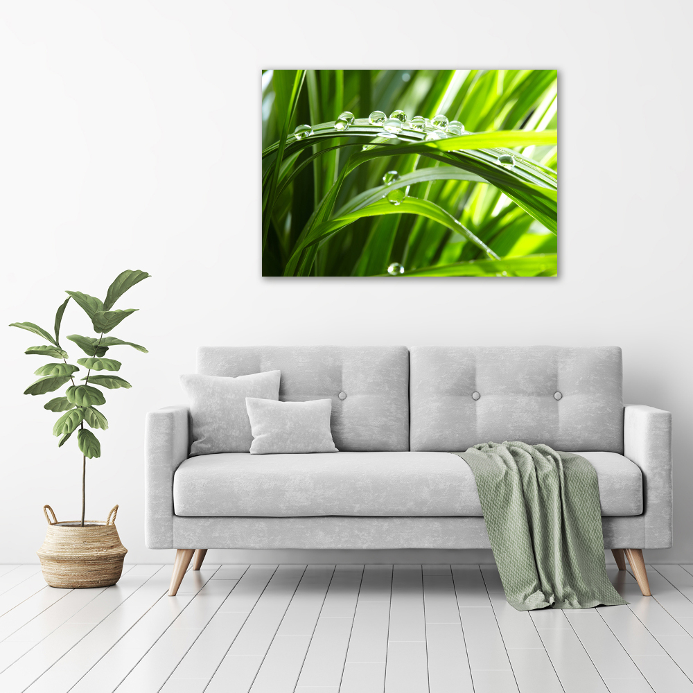 Canvas wall art Drops on the grass