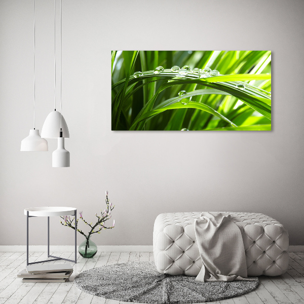 Canvas wall art Drops on the grass