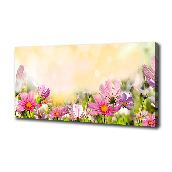 Canvas wall art Macs