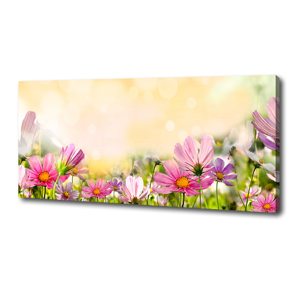 Canvas wall art Macs