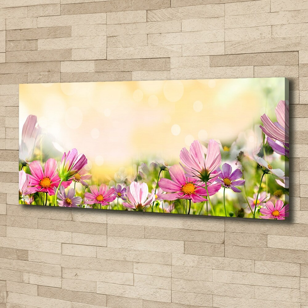 Canvas wall art Macs