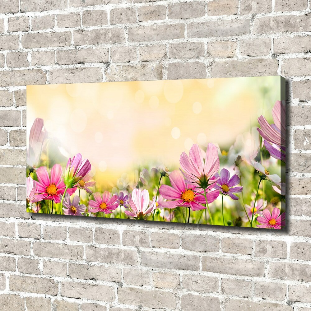 Canvas wall art Macs