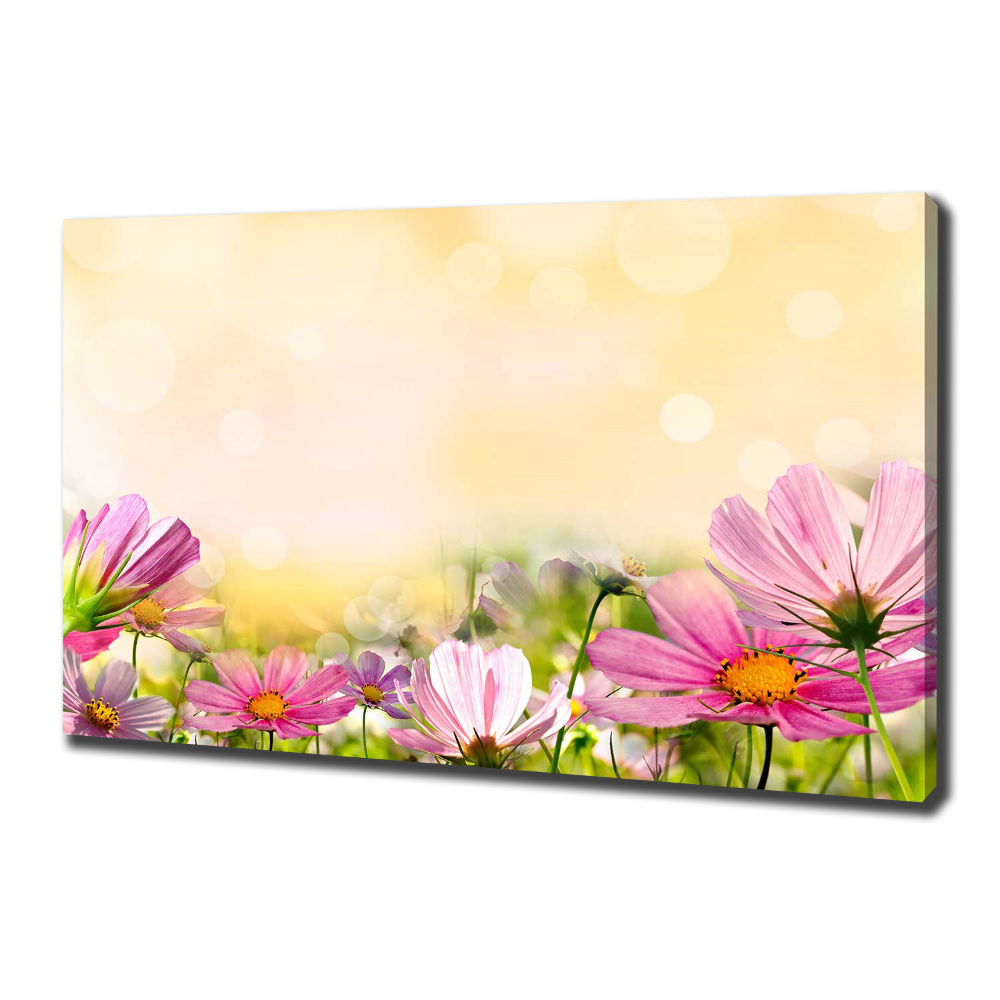 Canvas wall art Macs