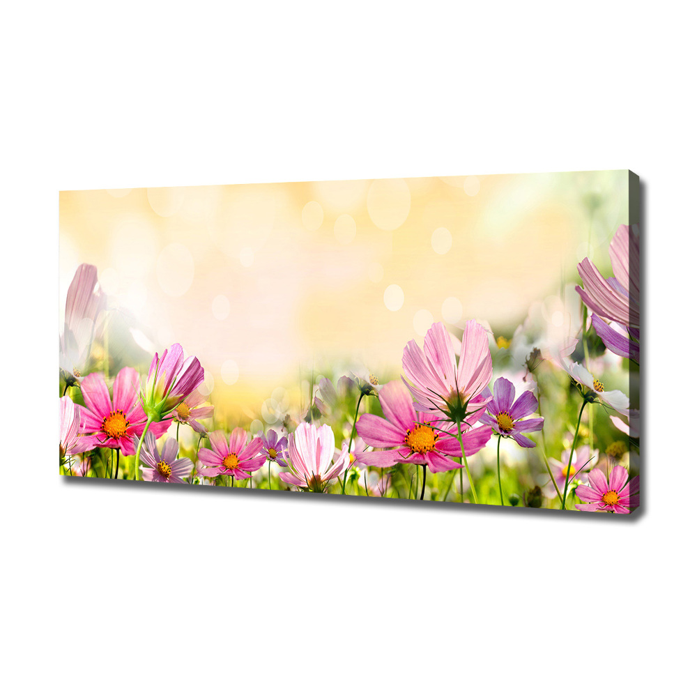 Canvas wall art Macs