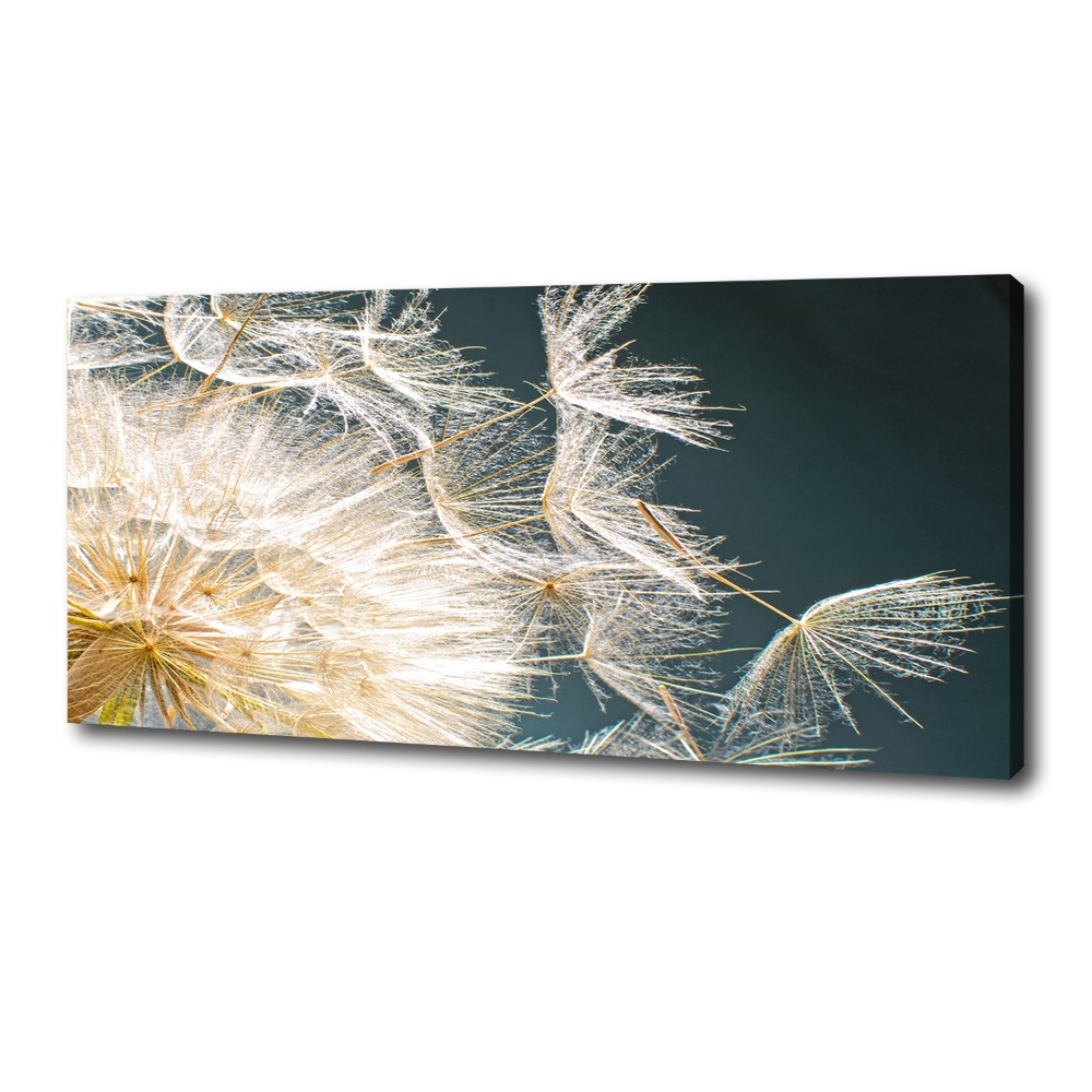 Canvas wall art Dandelion seeds