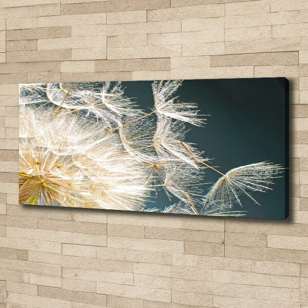 Canvas wall art Dandelion seeds