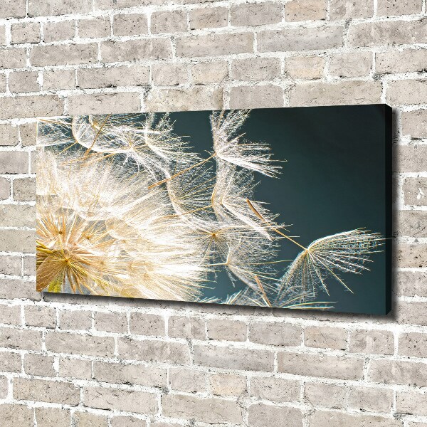 Canvas wall art Dandelion seeds