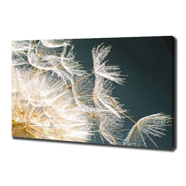 Canvas wall art Dandelion seeds