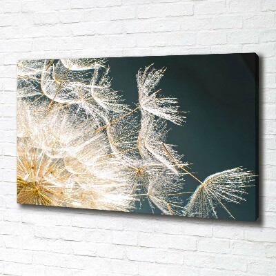 Canvas wall art Dandelion seeds