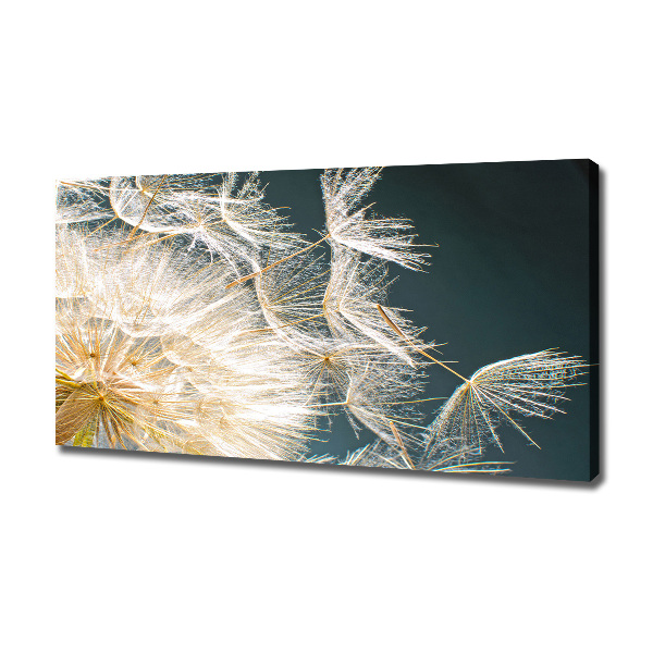 Canvas wall art Dandelion seeds